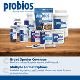 Probios Digestive Support Probiotic for All Species, Probiotics for Gut Health, Dispersible Powder, 240 gm (Pack of 2)