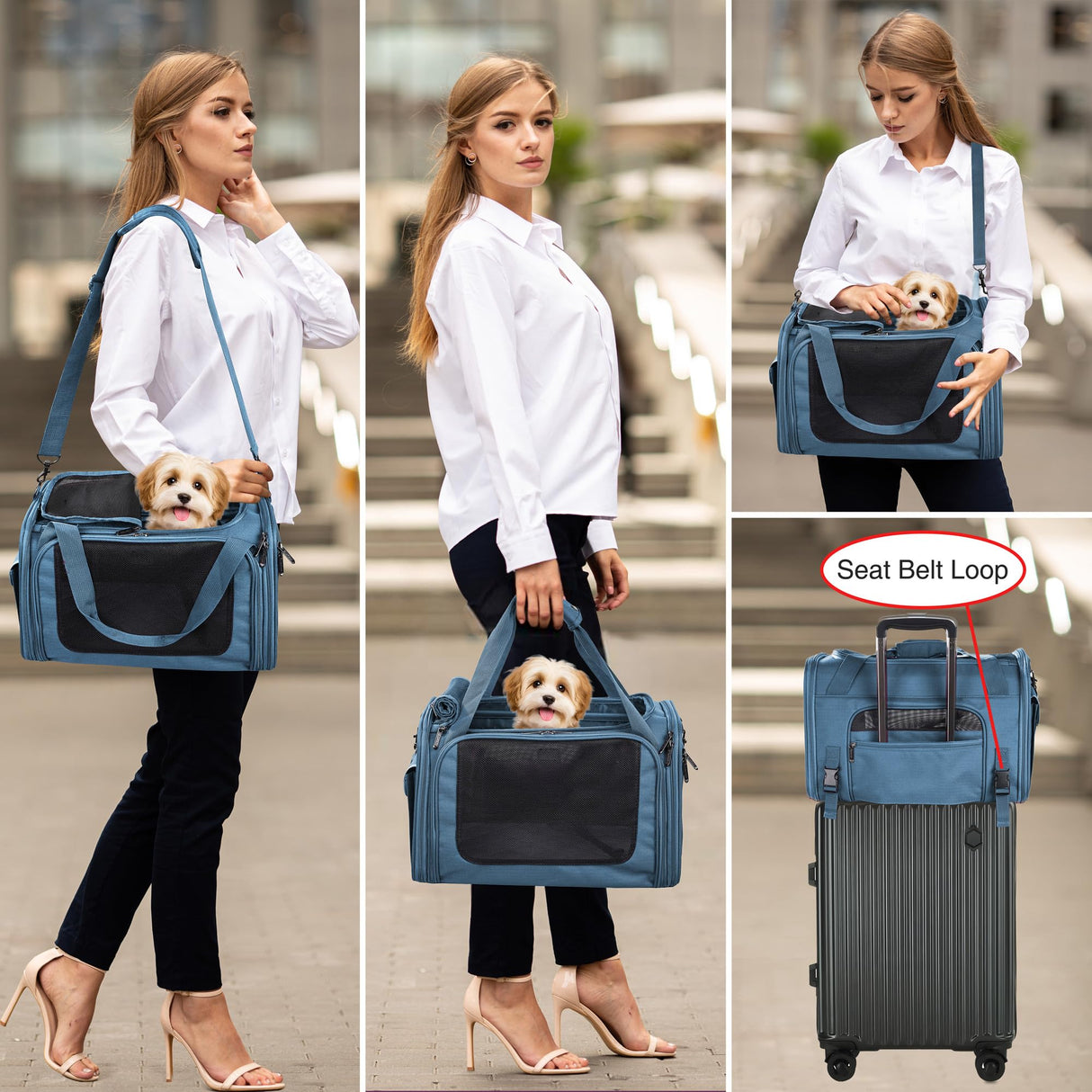 EliteField Deluxe Soft-Sided Pet Carrier (3 Year Warranty, Airline Approved), Travel Bag for Dogs, Cats & Small Pets, with Expandable Mat