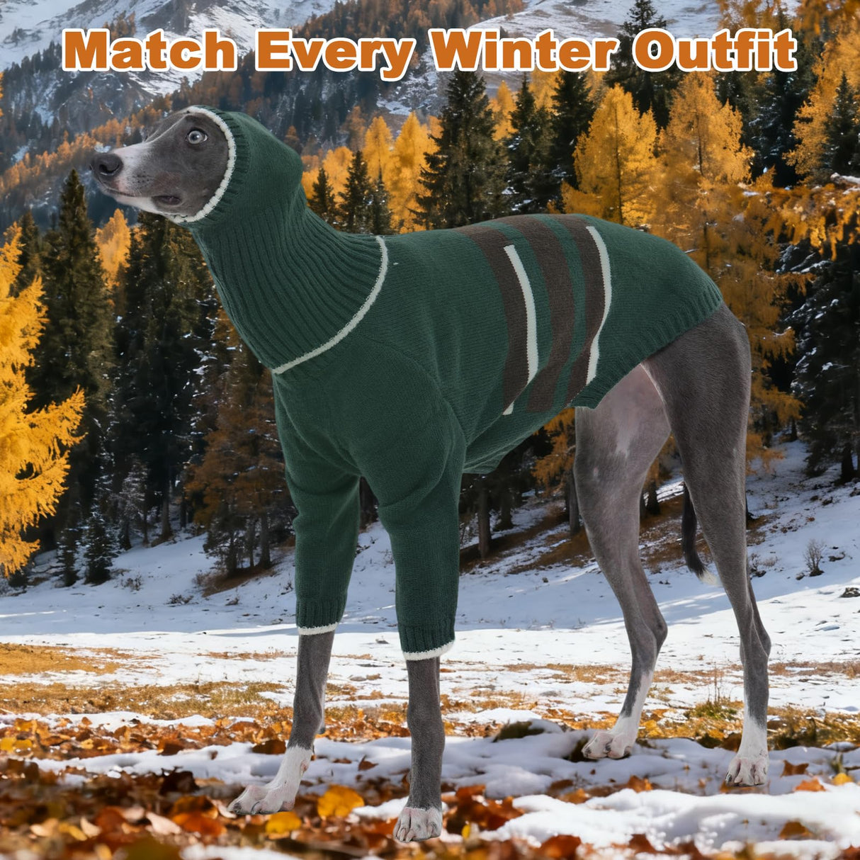 DENTRUN Greyhound Dog Sweater Medium with Detachable Hood - Warm Winter Knit Hoodie for Long Neck Dogs, Turtleneck Cold Weather Clothes with Leash Hole for Whippet, Saluki, Afghan Hound, Borzoi