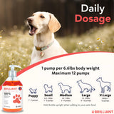 Salmon Oil for Dogs - Healthy Skin & Coat, Natural Norwegian Omega 3 Fish Oil Food Supplement, EPA & DHA Fatty Acids, Ideal for Shedding, Allergy, Itching, Dry Skin, Joint & Bone Health - (2 x 16.9oz)