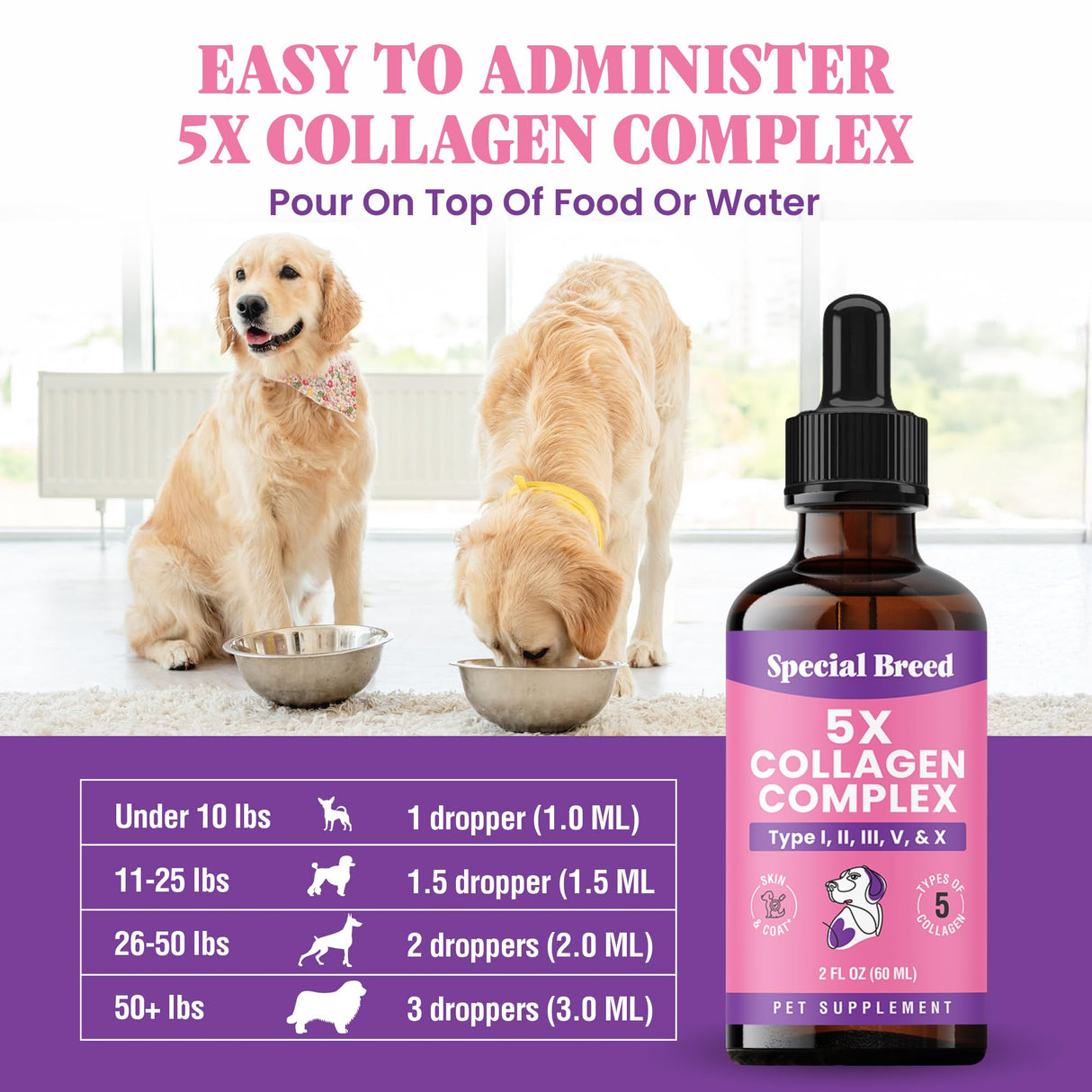 Premium Collagen for Dogs - Liquid Support for Joints, Skin, Coat, Bone, Immune System & HIPS - Collagen Supplement - Made in USA - 2oz