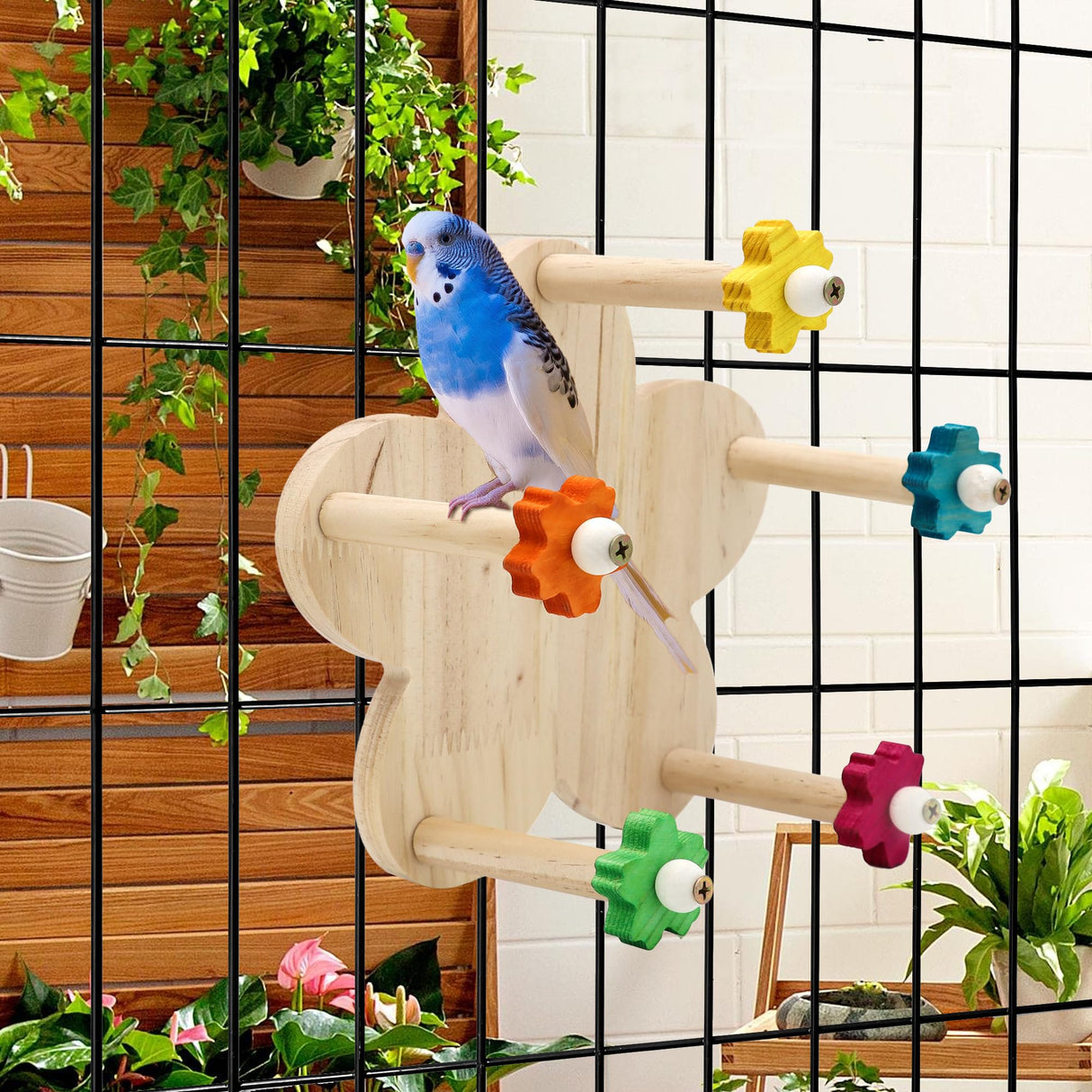 DVHEY Bird Rotating Perch Toy,Durable Unique Wooden Ferris Wheel Parrot Toys with 5 Perches,Bird Cage Accessories for Parakeet, Cockatiel, Budgerigar,Conures, Lovebirds