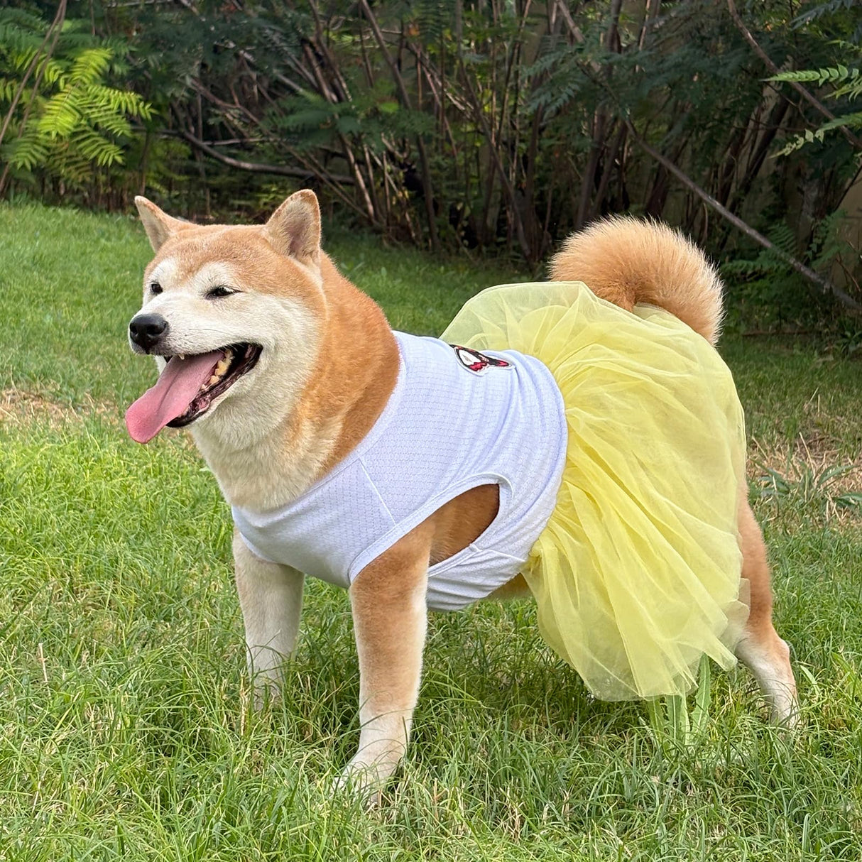UOSIA Dog Princess Dresses for Large Dogs Girls Sleeveless Pullover Wedding Birthday Tutu Dress with Butterfly Embroidered Summer Breathable Big Breed Female Dog Clothes(Yellow,5XL)
