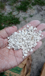 Evergreen Farm and Garden 50 lb Bag Oyster Shell - Calcium Rich Bird Grit (50 Pound (Pack of 1))
