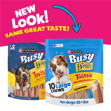 Load image into Gallery viewer, Purina Busy With Beggin' Dog Treats, Twist'd - 10 Count (Pack of 1)

