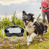 Pacify Dog Goggles for Large Dogs, UV Protection Dog Sunglasses with Adjustable Strap for Medium Large Dog Pet Glasses (Clear)