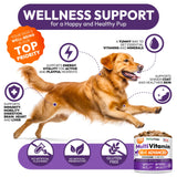 Dog Multivitamin Chewable - Dog Vitamins and Supplements with Glucosamine - 170 Chews - Hip & Joint, Pet Immune Support, Skin & Coat, Gut & Heart Health - Senior & Puppy Multivitamin Pet Supplement