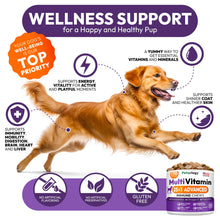 Load image into Gallery viewer, Dog Multivitamin Chewable - Dog Vitamins and Supplements with Glucosamine - 170 Chews - Hip &amp; Joint, Pet Immune Support, Skin &amp; Coat, Gut &amp; Heart Health - Senior &amp; Puppy Multivitamin Pet Supplement
