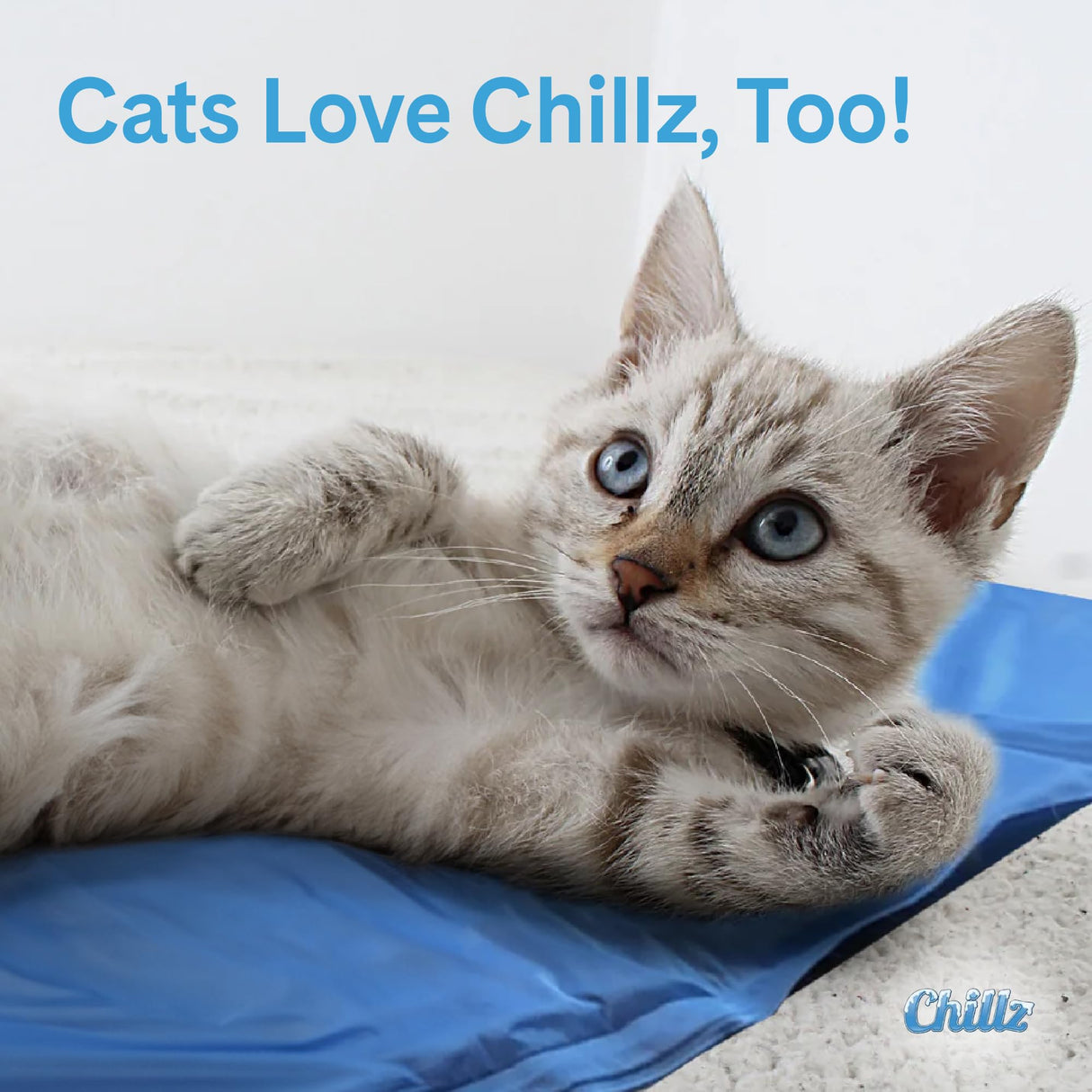 The Green Pet Shop Chillz Gel Mat, Extra Large - Pressure-Activated Cooling Pad for Pets Over 50 lbs - Non-Toxic, No Water or Refrigeration Needed - Ideal for Home, Travel & Crates