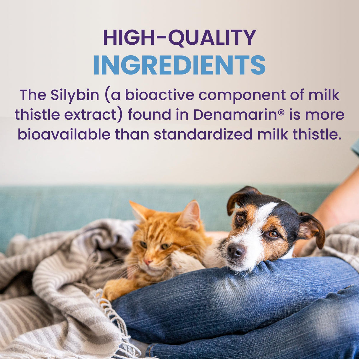 Nutramax Laboratories Denamarin Liver Health Supplement for Small Dogs and Cats - With S-Adenosylmethionine (SAMe) and Silybin, 30 Tablets
