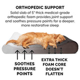 Furhaven Orthopedic Dog Bed for Extra Large Dogs w/ Removable Washable Cover, For Dogs Up to 180 lbs - Ultra Plush Faux Fur & Suede Luxe Lounger Contour Mattress - Chocolate, Giant/XXXL