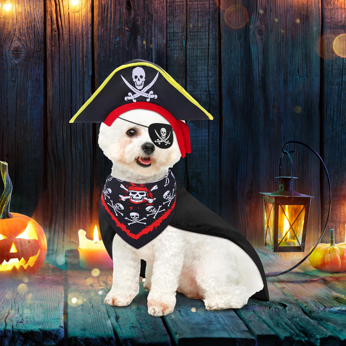 4 Pcs Dog Pirate Costume Set Dog Pirate Hat Pet Skull Triangle Bandana Puppy Cape and Eye Mask for Halloween Outfits Accessories