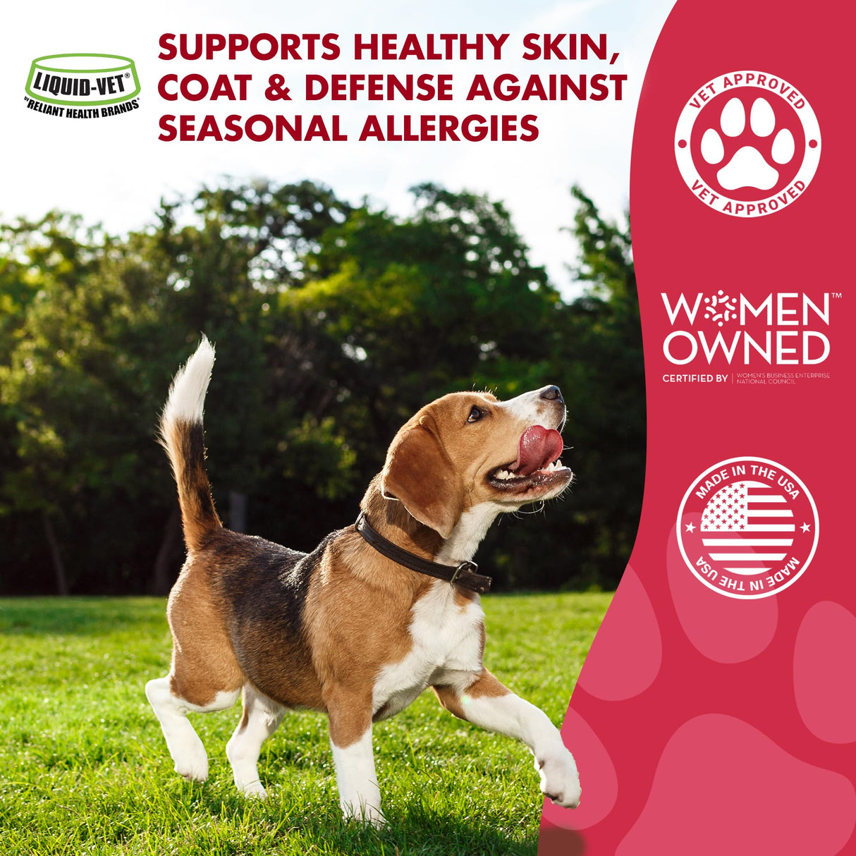LIQUID-VET K9 Itch & Allergy Advanced Formula, Chicken Flavor, 32 oz