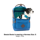 Kurgo Nomad Carrier Backpack - Airline Approved Dog Bag for Travel - Stylish Pet Backpack with Waterproof Bottom - Lightweight for Hiking - Small Breed Dog Carrier with Tablet Sleeve - Blue
