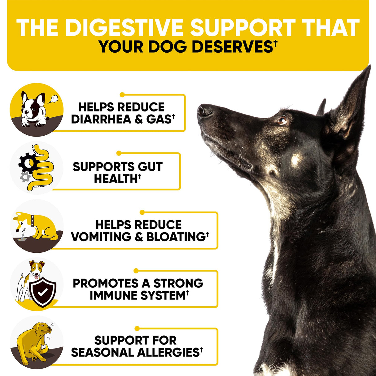 Probiotics Chews for Dogs w/Digestive Enzymes - Dog Probiotics to Support Gut Health, Alleviate Dog Itch, Soothe Itchy Skin, Dog Allergy Relief - Good for Immunity & Dog Itching Skin Relief -180 ct
