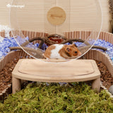Niteangel Anti-Slide Hamster Wheel Platform - Fits for Niteangel Super-Silent Hamster Wheel | Acrylic Wheel | Wooden Wheel | Cloud Series Wheel (Medium)