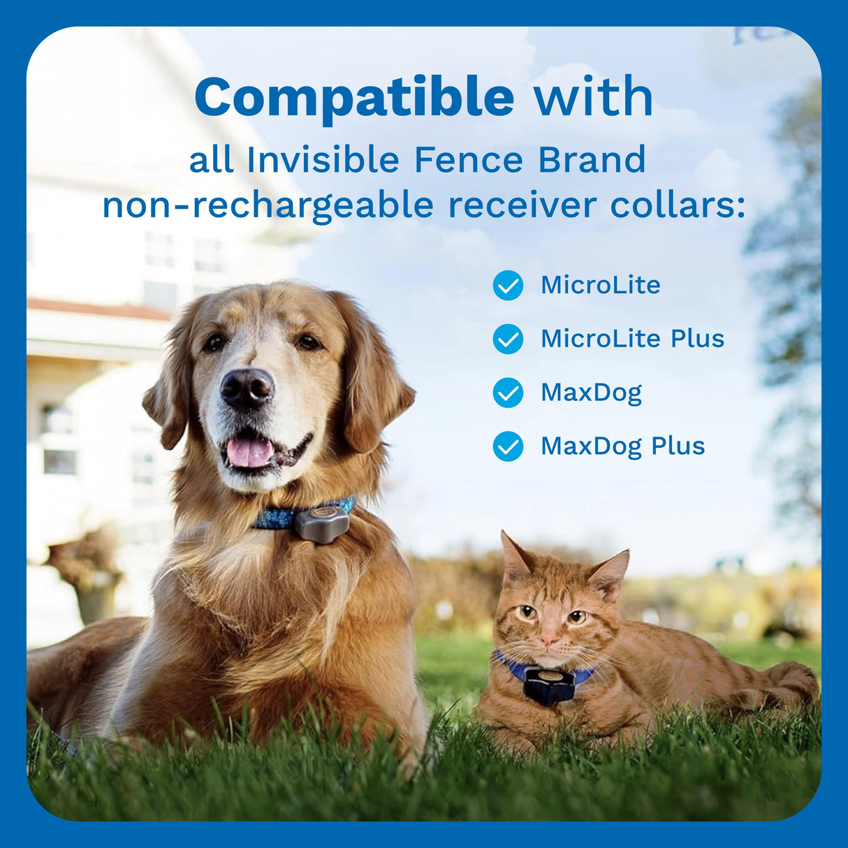 Invisible Fence Power Cap Battery - Original IFB Electric Fence Battery Replacement for Dog Collars - Long-Lasting - 2 Pack