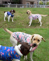 Uadonile Dog Cooling Shirts, Medium Dog ShirtsDog Clothes for Boy Girl Dogs, Dogs Cooling T-Shirts for Pug, Pitbulls, Dog Summer Shirts Hawaiian, M, 2 Pcs