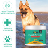 MYOS Muscle & Joint Powered by Fortetropin with Green Lipped Mussel (198 gr)