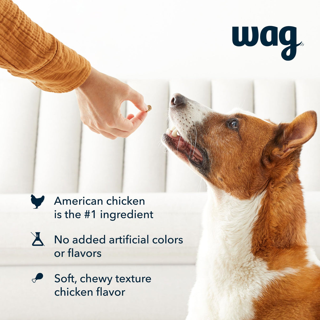 Wag Chicken Flavor Training Treats for Dogs, 2 lb. Bag (32 oz)
