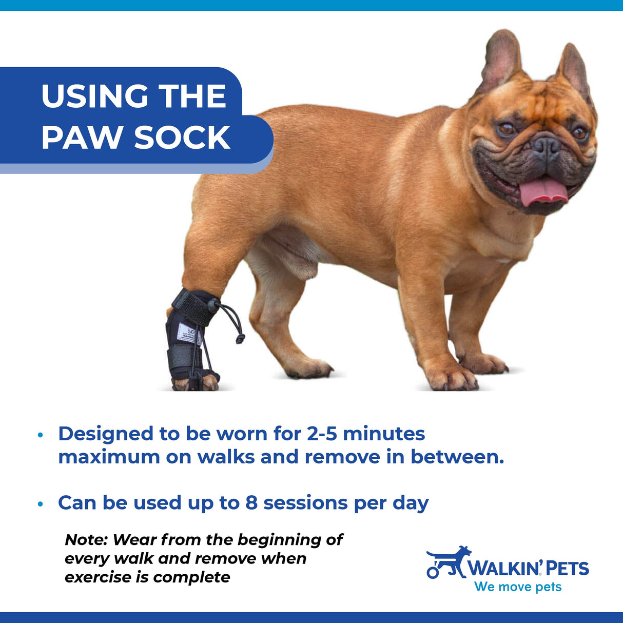 Walkin' Pets Rear No-Knuckling Training Socks for Dogs - 4-6 Inches, 30-60 lbs