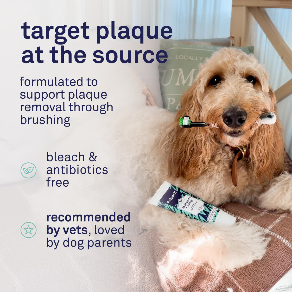 Petpost | Toothpaste for Dogs - Coconut Oil and Baking Soda Based Dental Gel That Naturally Eliminates Bad Breath - Dirt, Gunk, and Tooth Buildup Gone - Mint Flavor 4 oz.