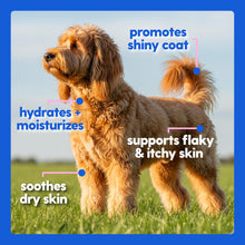 Load image into Gallery viewer, Taily Collagen for Dogs Skin and Coat Supplement, Cats | Taily Liquid Premium Grass-fed Collagen | Itch Relief for Dogs with Allergies, Biotin, Vitamin C and Hyaluronic Acid | Made in USA
