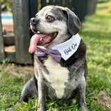 Handcrafted Personalized Dog Wedding Attire with Bow Tie – Custom Embroidered Name, Adjustable Shirt-Style Collar Fit, Optional Ring Bearer Clasp, Formal Outfit by ACORD EU (White)