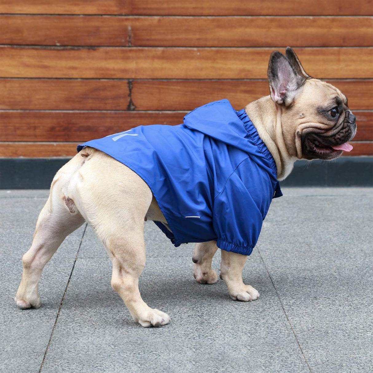 iChoue Dog Cold Weather Coats Water Resistant Raincoats Lightweight Windbreaker Hooded Jackets for French English Bulldog Pitbull Pug Boston Terriers Outdoor Rain Coat - Blue, X-Large