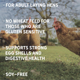 New Country Organics | Wheat-Free Chicken Feed 40lbs | Layer Feed for Laying Hens | Gluten-Free and Soy-Free | 17% Protein | Certified Organic and Non-GMO Chicken Food | 40 lbs