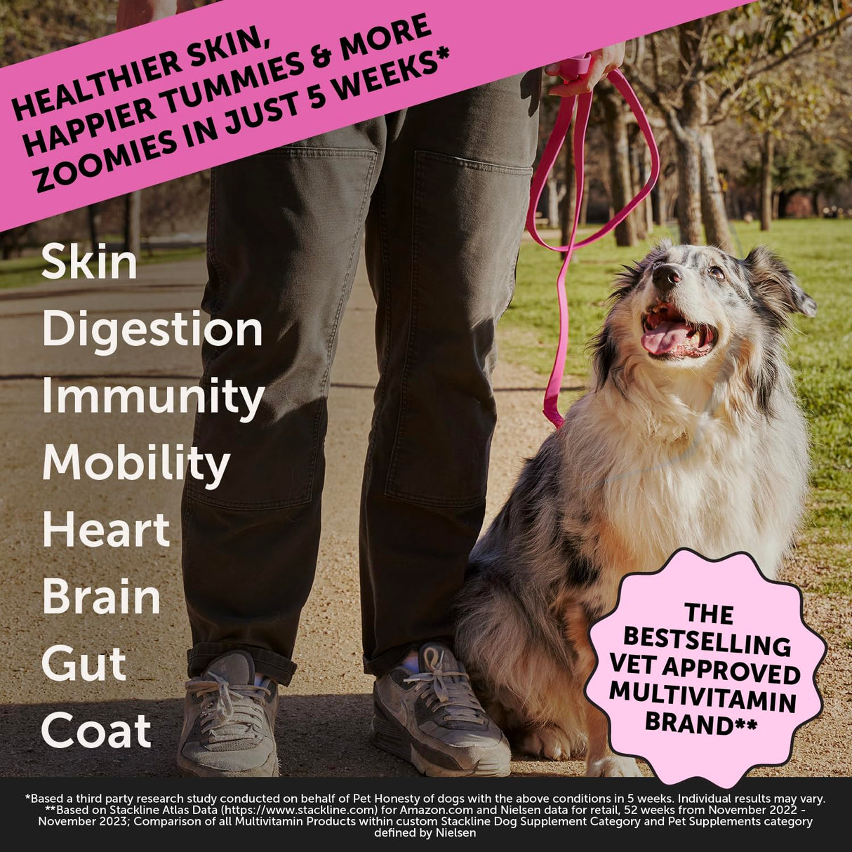 Dog Multivitamin Max Strength, 15-in-1 Multivitamin for Dogs – Dog Vitamins & Supplements with Glucosamine, Probiotics & Omega 3s – Supports Joint, Heart, Immune, Skin & Coat Health – Chicken (90 Ct)