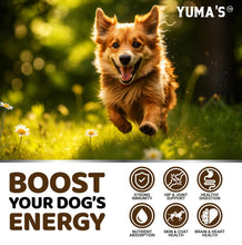 Load image into Gallery viewer, Turkey Tail Mushroom for Dogs - 170 Count - Mushroom Chews for Dogs Lipoma Lumps and Bumps - Immune Health, Digestive, Skin, Energy, Joint Vitamin Support Guard Buddy - Multivitamin Supplement
