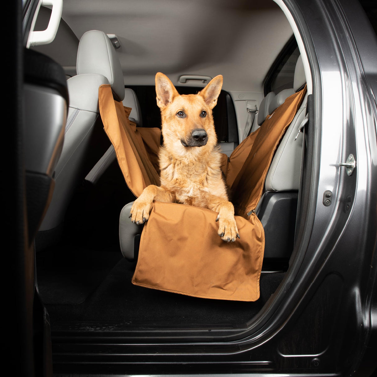 Carhartt Universal Fitted Nylon Duck Pet Hammock, Dog Back Seat Cover, Black