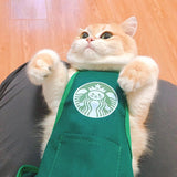 Halloween pet Clothing
