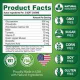 Advanced Glucosamine for Dogs - 170 Chews - Senior Hip and Joint Supplement for Dogs - Glucosamine Chondroitin - Dog Joint Health Pain Relief Pills - MSM - Mobility Support Supplement - Made in USA