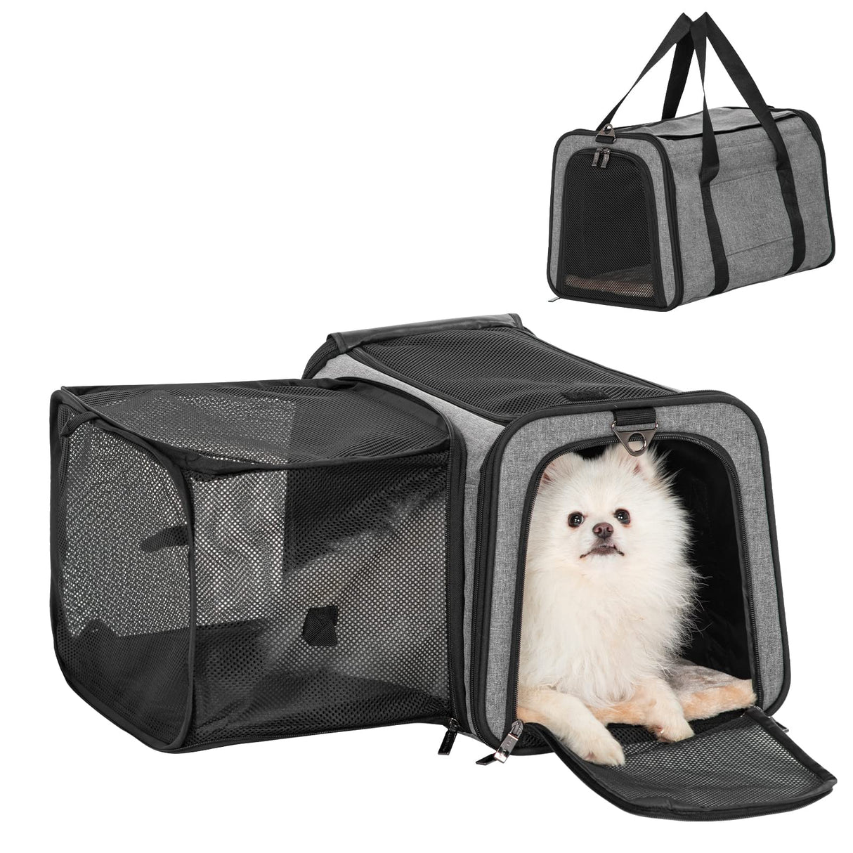 Petsfit 19"X12" X12" Expandable Pet Carrier, Square Expansion Reduces Pet Anxiety, Escape-Proof Self-Locking Zippers, 3 Easy-Access Entrances, for Cats & Small Dogs up to 18 lbs