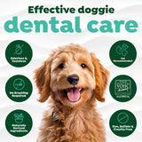 TropiClean Fresh Breath Water Additive for Dogs, Dog Breath Freshener and Teeth Cleaning Solution, No Toothpaste or Toothbrush Required, 16oz.