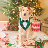 HDGDT Adjustable Green Plaid Christmas Dog Tuxedo Bandana with Bow Tie - Holiday Pet Outfit Costume for Dogs XS to XL