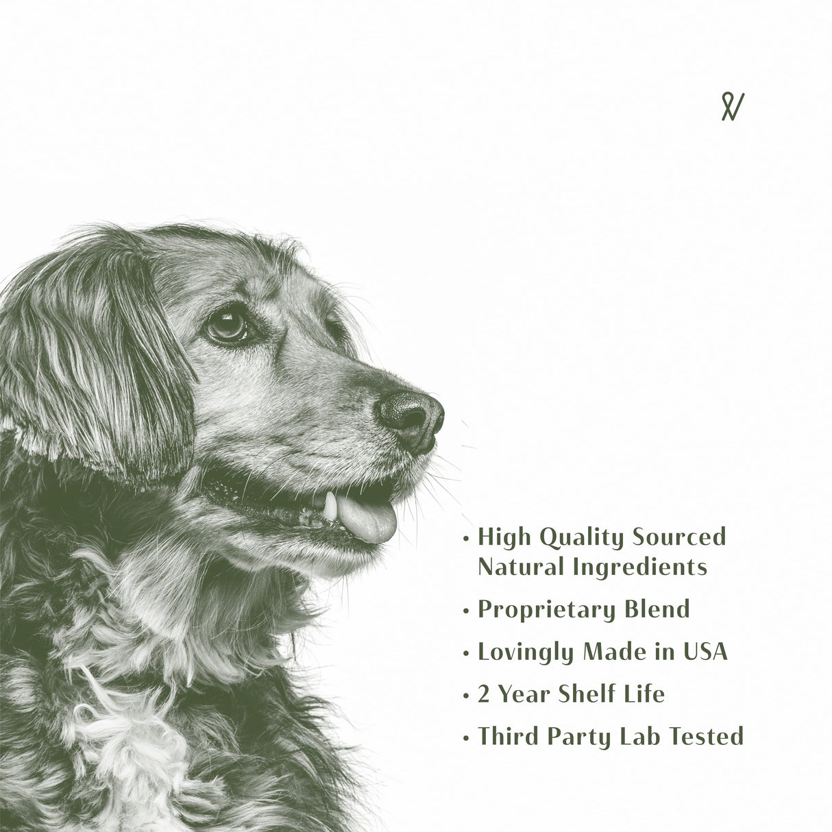 Everpath Sinus Support for Dogs - 2 Fluid Ounces/60mls | USA Made | Supports Sinus Health and Relief | Relief for Allergies, Congestion & Acute Sinusitis | Natural Solution for Pets