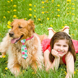 Saintrygo 50 Pcs Dog Bow Ties Collars Set Include 25 Dog Neckties and 25 Puppy Bowties, Adjustable Pet Ties Grooming for Small Medium Large Cats Pets Supply Hawaii Summer Accessories