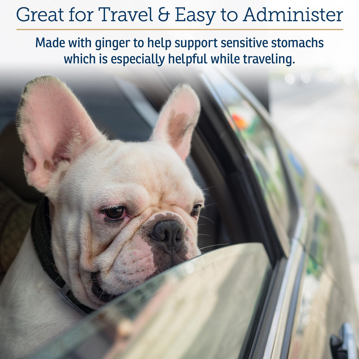 Rx Vitamins NutriCalm - Calming Care for Dogs with Valerian Root, Tryptophan, & Ashwagandha - Aids in Separation Anxiety Relief for Dogs and Stress Relief - Road Trip Essentials & Relaxant - 50ct