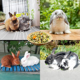 Jiaxix 30 Pcs Disposable Palm Leaf Bowls 4 inch Bowl for Rabbits, Compostable Like Bamboo Bowls Disposable Bowl Bunny Chew Toys Chewable Dish for Rabbits & Bunnies,Small Pets