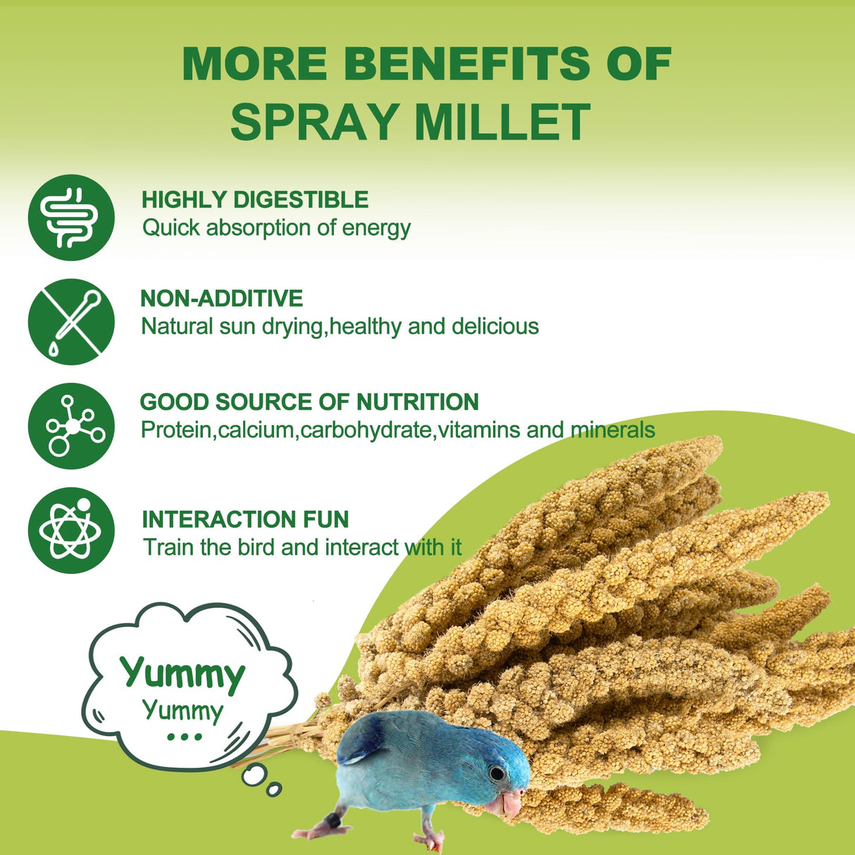 MEILLEURE 2LB Spray Millet Bird Treat for Parakeets, Natural Sun-Dried Birds Millet Spray for Parrots, Finches, Cockatiel, Budgie & Hamster, Bird Food Bulk