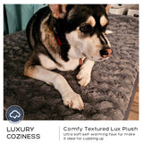PetFun Jumbo Orthopedic Dog Bed for Large Dogs - 7-inch Thick Memory Foam Dog Bed with Pillow Removable Cover Machine Washable, Giant | 50 inch, Dark Gray