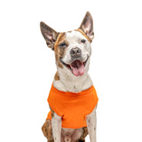 It's My Birthday & I'll Bark If I Want to Dog Tee Shirt | Sleeveless | Pawty | Party Theme | Celebration Supplies | Photoshoot (Orange, Large 1078)