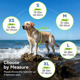 VIVAGLORY High Buoyancy Dog Life Vest, Swimming Vest with Handle, Dog Life Jacket for Swimming & Boating, Buoyancy for Puppy Doggy, S, Turquoise
