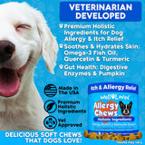 Well Loved Dog Allergy Chews - Dog Allergy Relief, Itching Skin Relief, Hot Spot Treatment & Seasonal Allergies, Vet Developed, Anti Itch Skin Irritation Treatment, Made in USA, 120 Chews