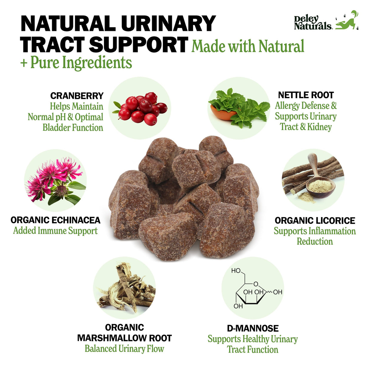 Deley Naturals Dog UTI Chews - Vet-Grade Cranberry Supplement for Dogs with D-Mannose & Echinacea for Bladder & Urinary Tract Health - Urinary Tract Supplements for Small to Large Breeds - 120 Chews