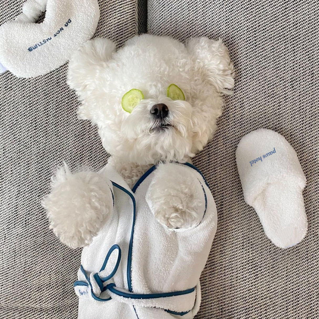 Dog Bathrobe for Drying Dogs, Hooded Dog Towel Doggie Robes Dog Bath Robe, Microfiber Fast Drying Absorbent Pet Towel for Cat Puppy Small Medium Dogs (Bathrobe,S)