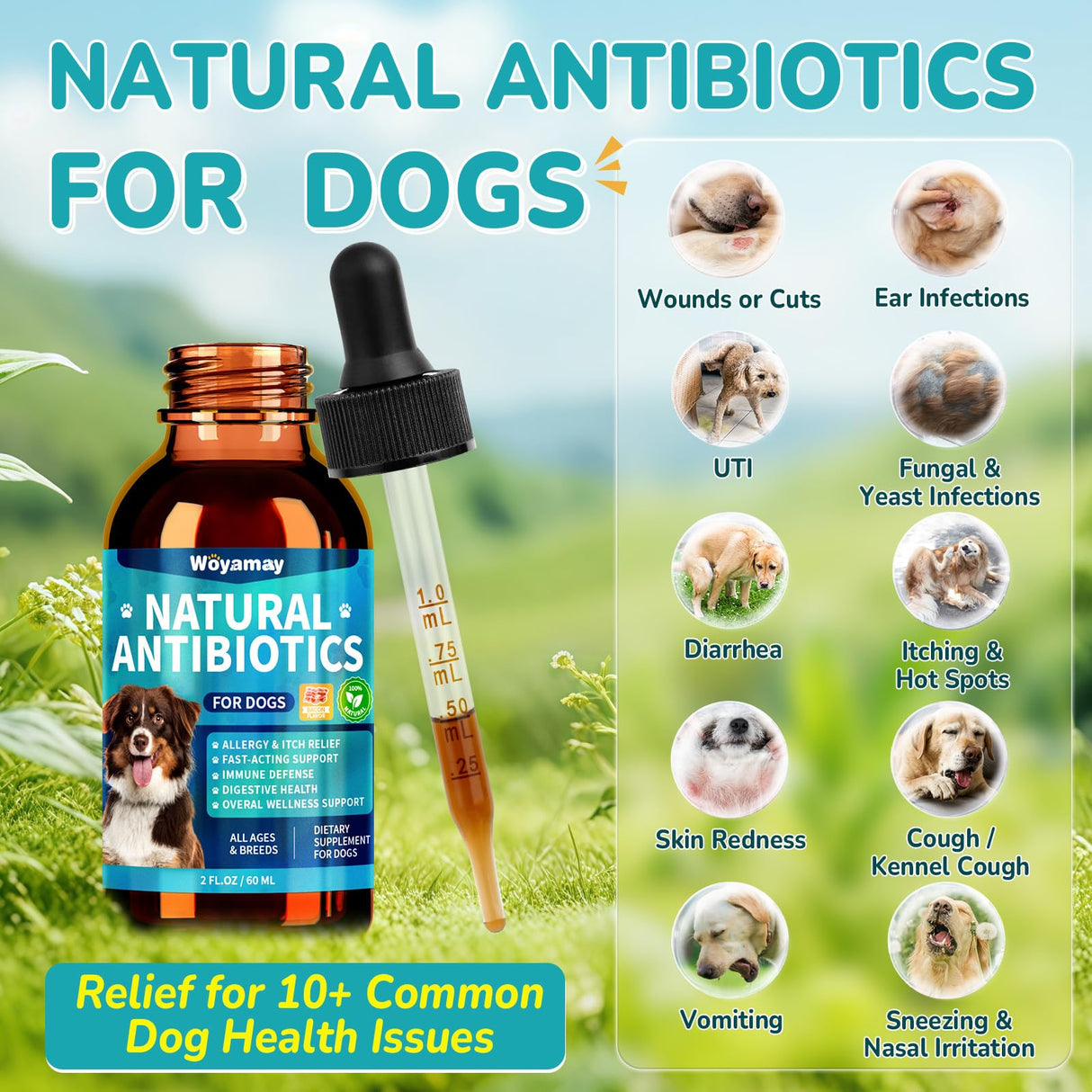 Woyamay Antibiotics for Dogs | Natural Dog Antibiotics for Allergy Relief, Itch Relief, Coughs, Skin Health, Breath Treatment, Digestion | Herbal Supplement to Care for Ears, Eyes & Coat, 2 Fl Oz